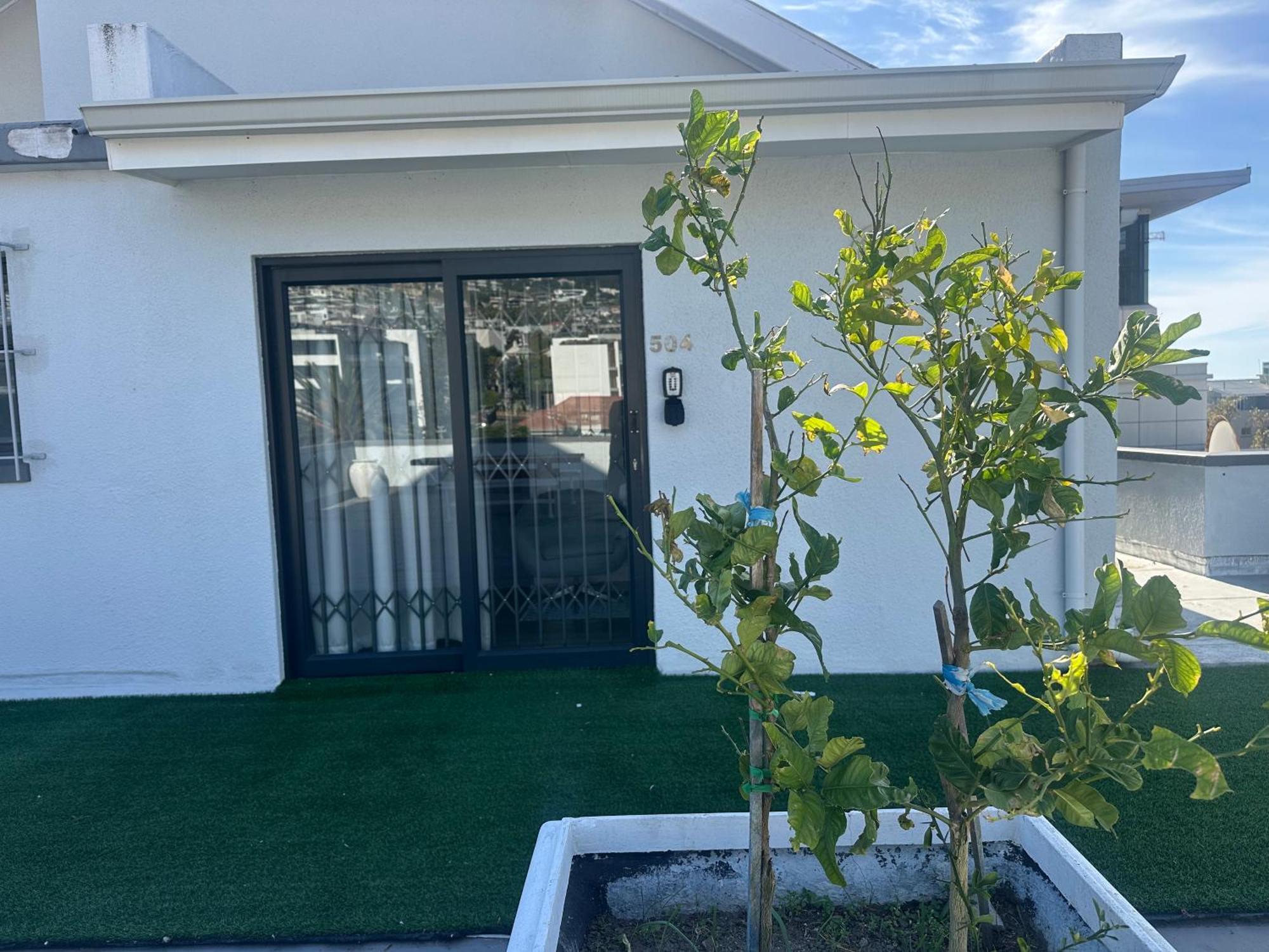 Camborne Holiday Apartments Cidade Do Cabo Exterior foto